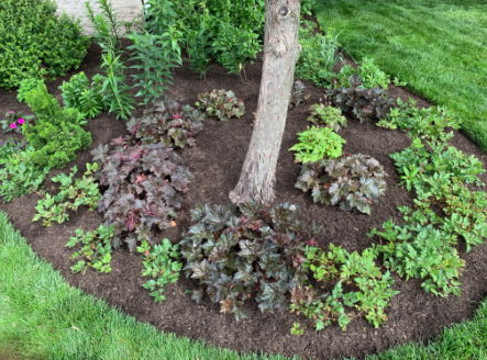About Karaki Landscaping LLC